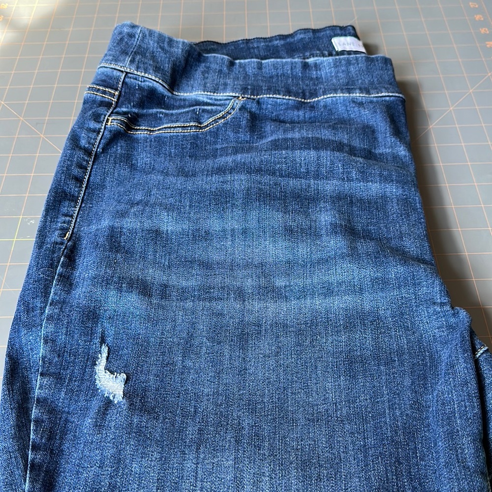 Land Bryant Size 26 Distressed Jegging